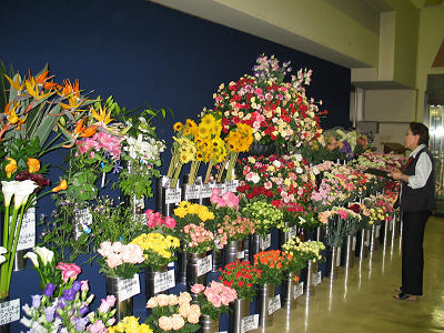 母の日へ産地から寄せられた切花を展示