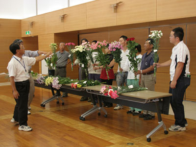 バラエティー豊かな花々が競う上伊那花卉生産者会議品評会