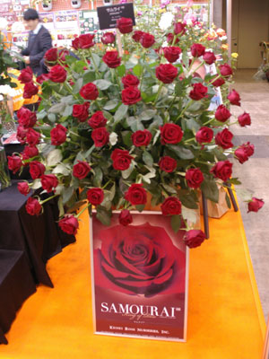 京成バラ園芸は同社の扱う数々のバラを中心に展示。バラは切花品種だけでも41品種。一押しは赤のスタンダード「サムライ08」