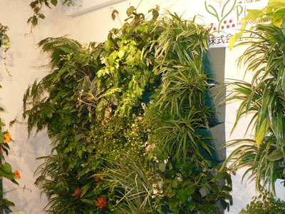 プラネットは、ハイドロカルチャーを利用した壁面緑化システムを数種出展。好評だったのは、逆三角形のフレームに植物を斜めにセットするタイプ