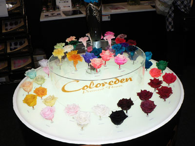 切花輸入のクリエイトは、自社オリジナルのプリザーブドフラワー「カラーエデン」を出展。中国・昆明産のバラなどを、日本の染料で染め上げている