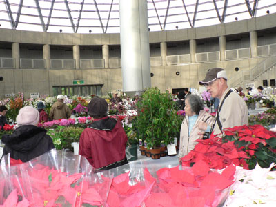 関西最大級の花き品評会「かんさいフラワーショー」に全国の優品が集合