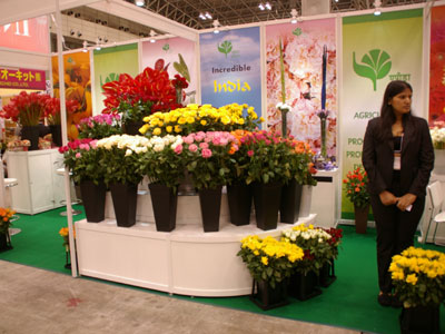 インドパビリオンでの生花の展示はバラ、カーネーションなど。主力のバラの生産量は伸びており、7割を海外に出荷