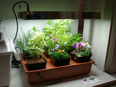 ヤクモトレーディングは、蛍光灯とLEDを組み合わせた植物育成用ランプ「ソダテック」を展示。インテリア感覚で家庭菜園が楽しめる