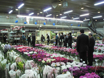 大原総合花き花鉢物・切花品評会の審査風景