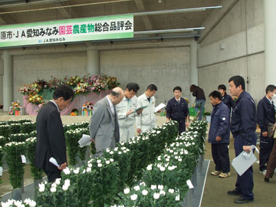 田原市・JA愛知みなみ品評会。大産地の優品が一堂に