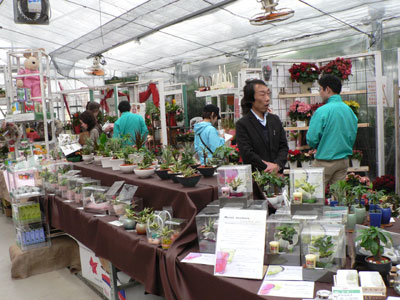 幅広い商品を提案、高島屋植物園春の商談会