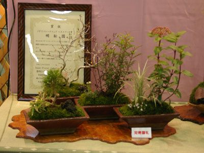 明松園は山野草で「草BONSAI」を。ベストブース賞を受賞