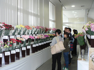 京都生花がトレードフェア。全国の花きを一堂に紹介
