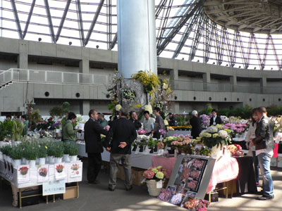 関東と東海の鉢物生産者が大阪で商談会、多様な商品をアピール