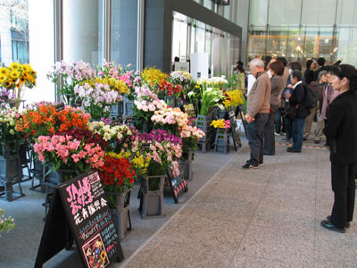 各産地から多様な花々の出展