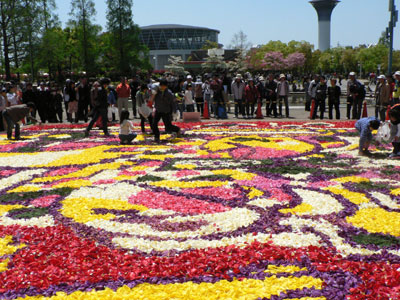 大阪花博から20年を記念して、チューリップの花びらで巨大なカーペット