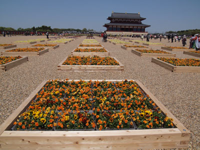 第一次大極殿の前庭。コンテナ植栽「春風讃華」による壮大な景色が広がる