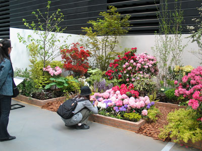埼玉県植木生産組合連合会は春におすすめの樹種を使った庭を