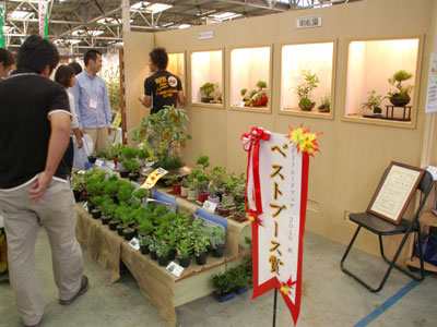 山野草を盆栽風に寄せた「草BONSAI」を展示する明松園がベストブース賞を受賞。前回からの連覇