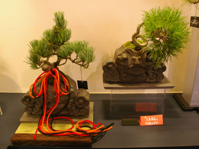 IVY TAMAIは、TVチャンピオンとしても知られる玉井禎晋氏が手がけるモダン盆栽を紹介