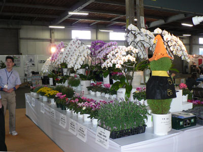 兵庫県生花のトレードフェスタ。同社本社の展示