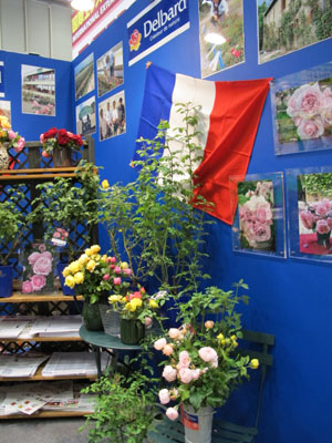 フランスDelbard(デルバール)社のバラ苗を扱っている花ごころ。現在約85品種あり、雑誌等による紹介もあって、人気は急上昇中