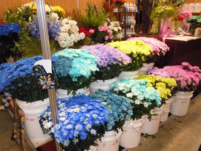 パレス化学は、切花着色剤「ファンタジー」を、使用花とともに展示。簡単に冬が演出できるフレーク状の着色資材「スノーシフター」も紹介