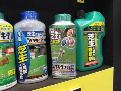 レインボー薬品のシバキーププラスα粒剤は、芝生用の肥料が入った除草剤。日本芝（コウライシバ）の中に生えた1年生雑草を根まで枯らす