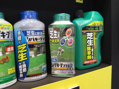 レインボー薬品のシバキーププラスα粒剤は、芝生用の肥料が入った除草剤。日本芝(コウライシバ)の中に生えた1年生雑草を根まで枯らす