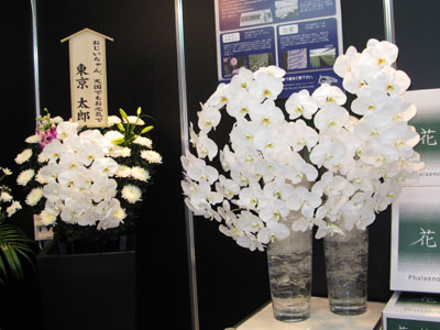 ビューティ花壇は、葬儀主要花材の輸入を手がけ安定供給に務めている。このほど台湾の胡蝶蘭大手生産者と、日本での独占販売契約を締結
