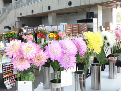 「かんさいフラワーショー」に全国から多数の花きが集合