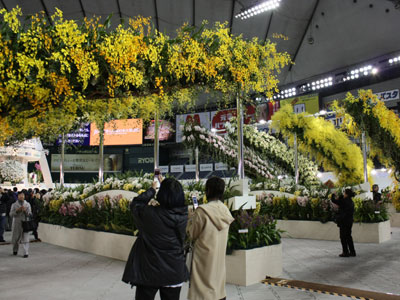 「世界らん展日本大賞2011」で来場者を華やかに迎える蘭のアーチ「オーキッドロード」