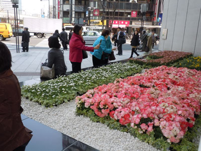 銀座から被災地へエール、ソニースクエアに鉢物でお見舞いの花飾り