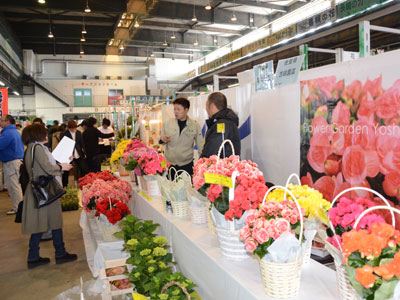 商談会「花満得選会」に全国から出展。佐賀の富岡園芸・吉田園芸の展示