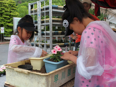 被災地に送るプランターにニチニチソウを植える子どもたち