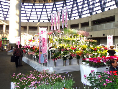 全国の花を集めて「フラワーフェスティバル in 近畿」