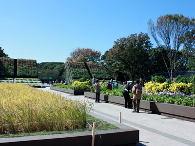 東北の稲や野菜、果樹で構成した東北「農」の庭（上野公園）