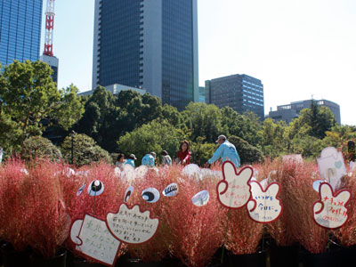 東北への応援込め「1万人のメッセージガーデン」（日比谷公園）