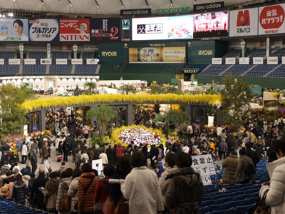 東京ドームに10万株が咲き競う「世界らん展日本大賞2013」