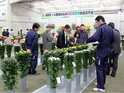 田原市・JA愛知みなみ園芸農産物総合品評会の審査風景