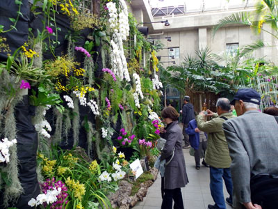 ランの館を開場に名古屋国際蘭展