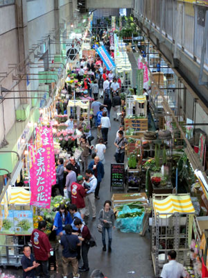 産地の一押し花きを紹介「JFIトレードフェア切花」。大田市場花き部仲卸街で