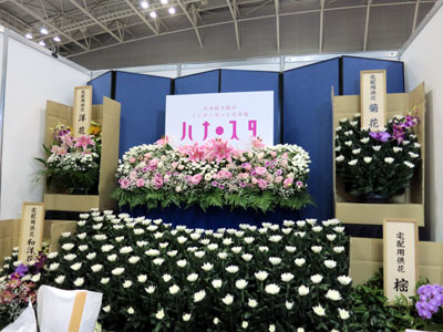 ネット花市場「ハナ・スタ」を運営するシフラは「開花菊」ほかを展示