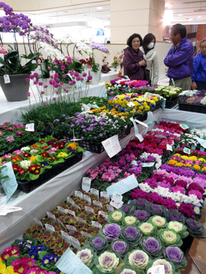 県産花きやアレンジを一堂にさいたま花の祭典