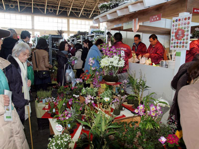 愛知県花き連鉢物PR委員会の「あいち花工房」。コケ玉を実演販売