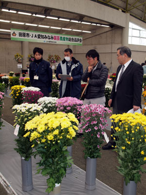 品評会の審査風景