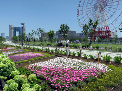 臨海副都心のシンボルプロムナード公園で夏花壇のおもてなし