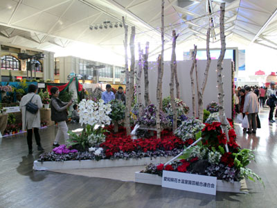 中部国際空港で「あいち花フェスタ」。県産花きを使い大装飾