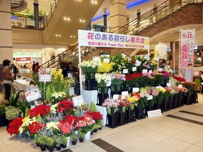 東海地域花き普及・振興協議会が現地研究会